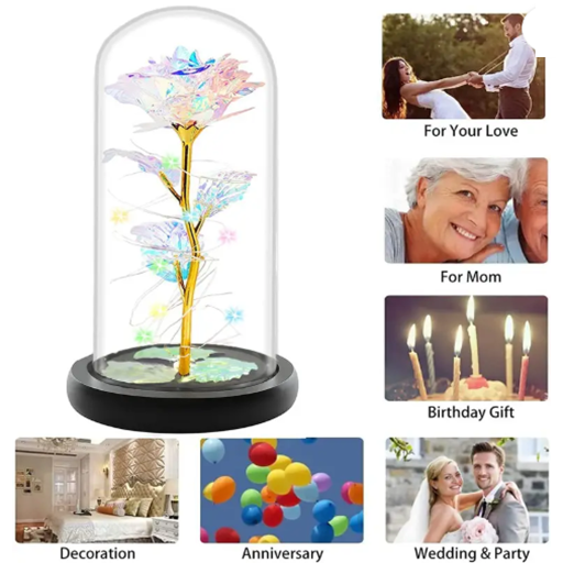 Screenshot 2025-07-18 145312